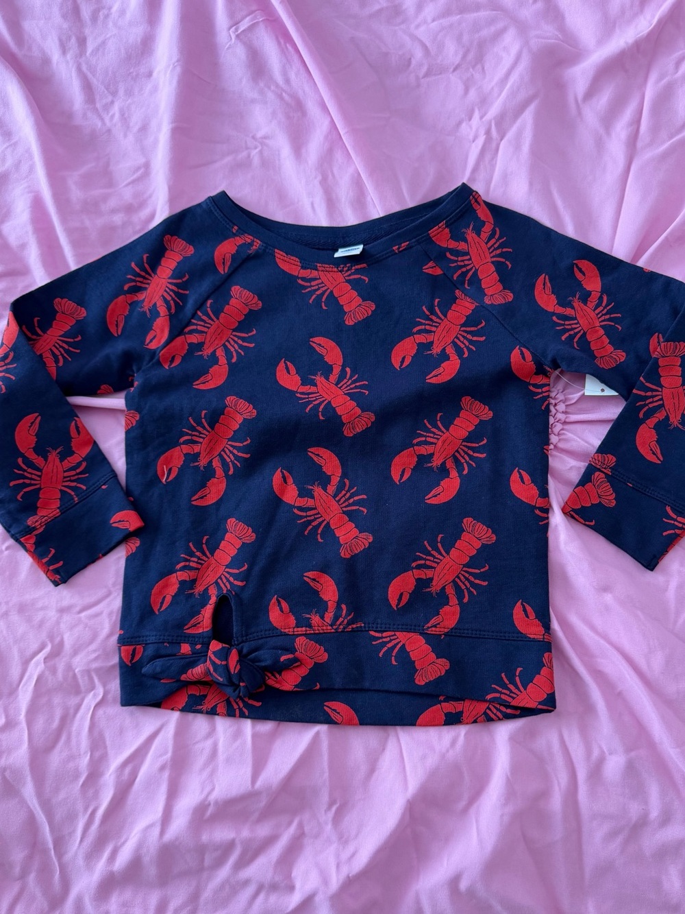 Old Navy Navy Blue Kids Sweatshirt with Red Lobster Print